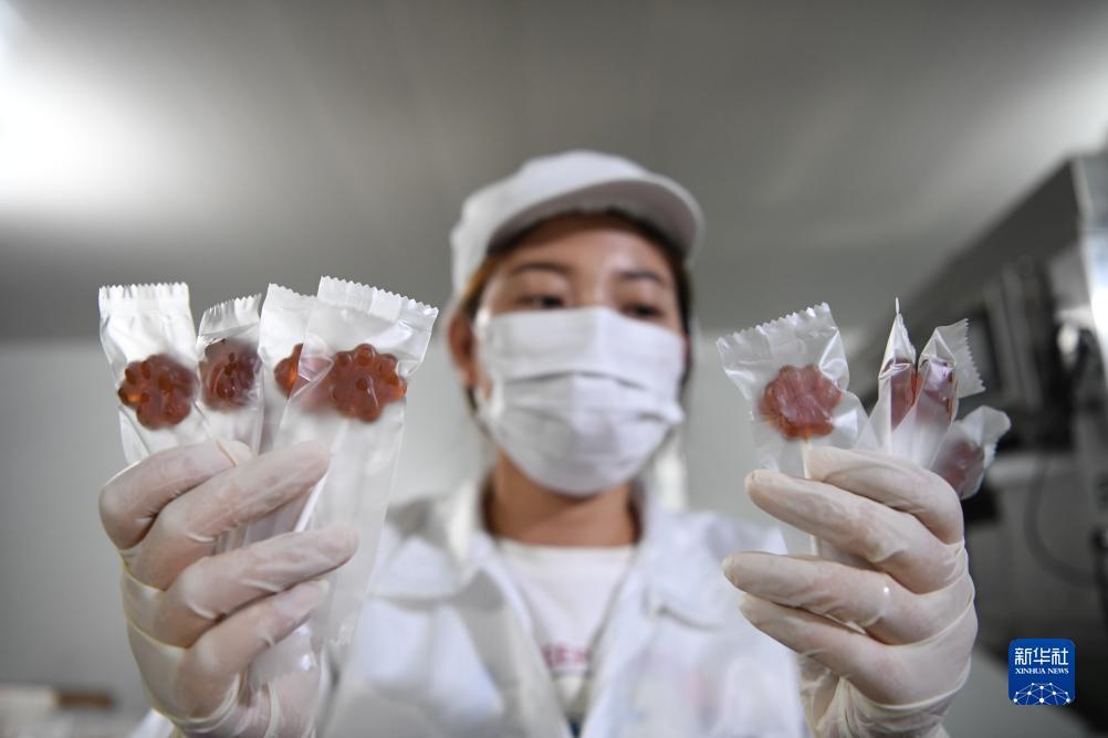 大富豪游戏电脑版